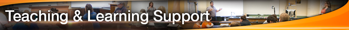 teaching and learning services